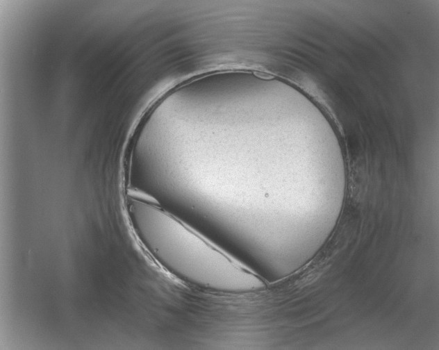 X0000060551096200511101531