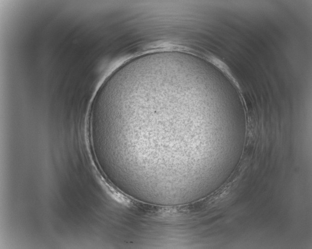 X0000060551098200511101531