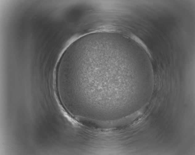 X0000060551099200511101531