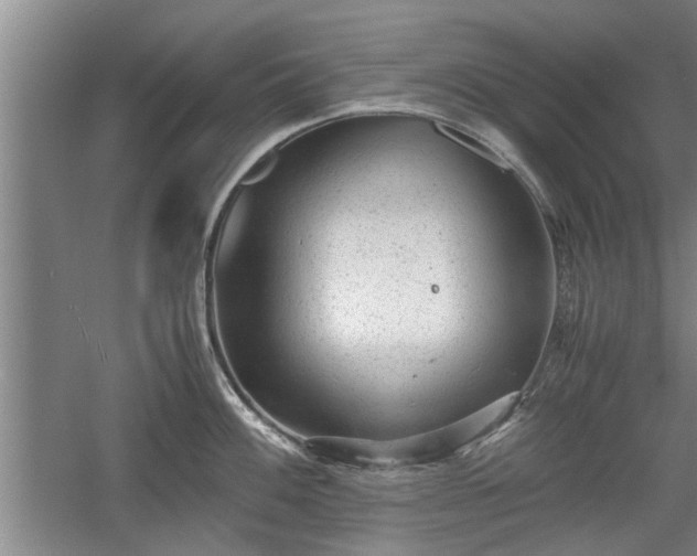 X0000060551100200511101531