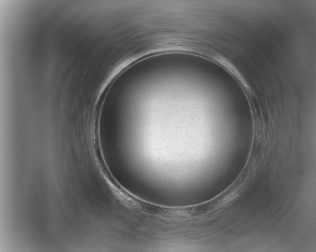 X0000060551101200511101531