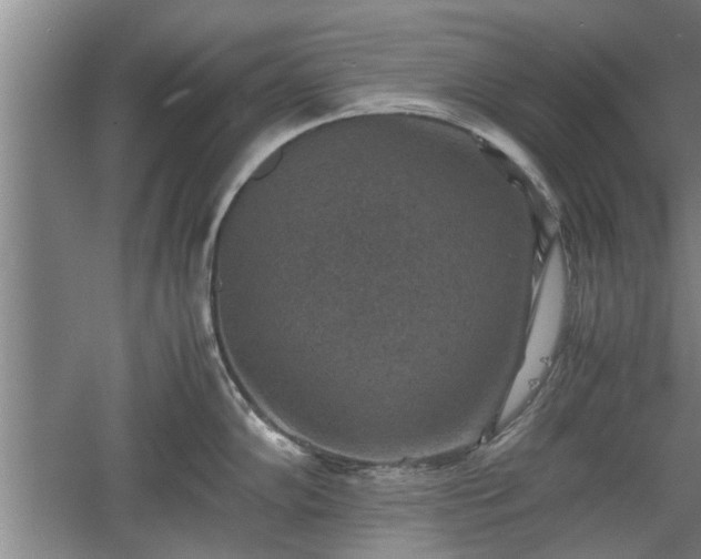 X0000060551102200511101531