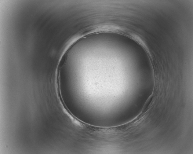 X0000060551103200511101531