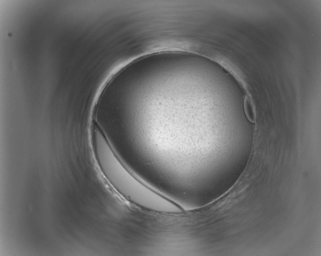 X0000060551104200511101531