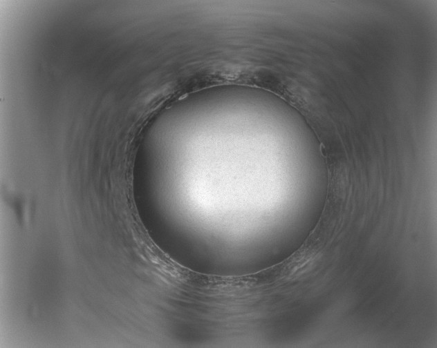 X0000060551105200511101530