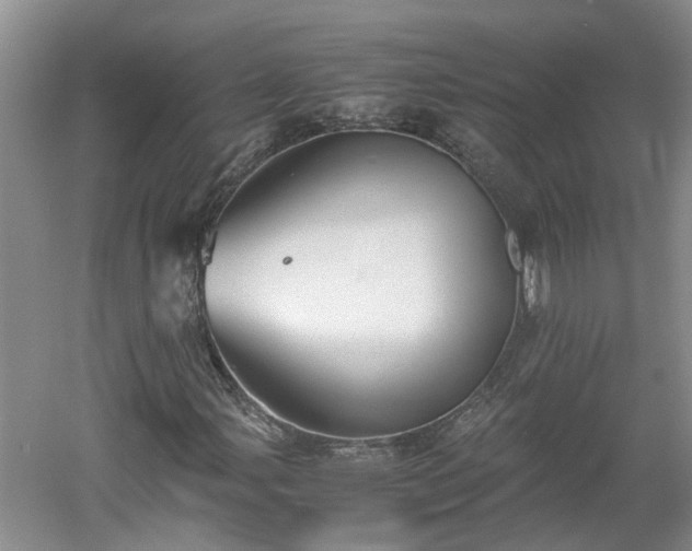 X0000060551107200511101530