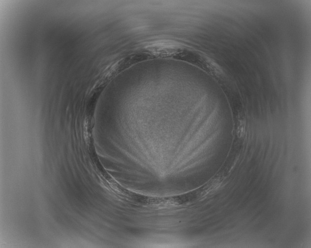 X0000060551108200511101530