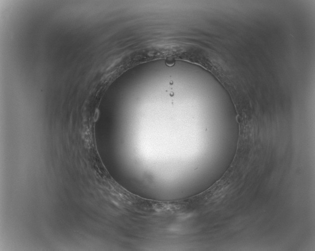 X0000060551109200511101530