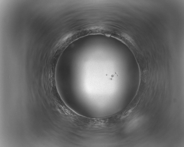 X0000060551111200511101530