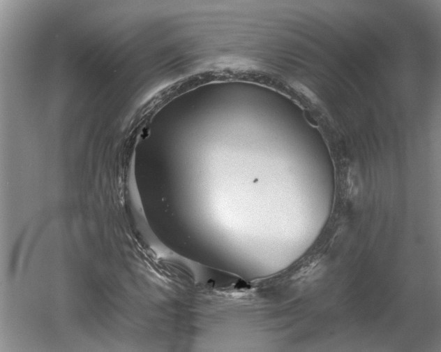 X0000060551112200511101530