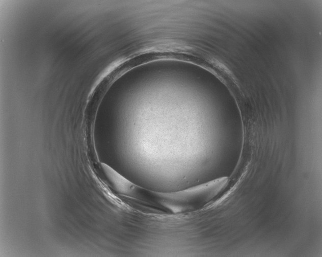 X0000060551114200511101530