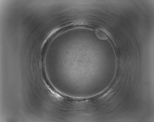 X0000060551115200511101530