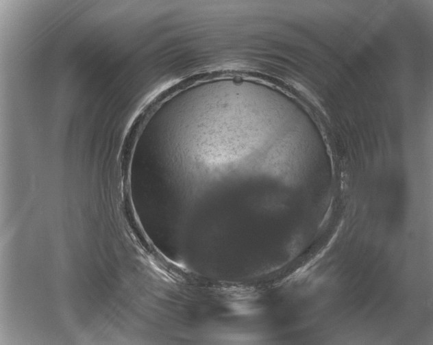 X0000060551117200511101530