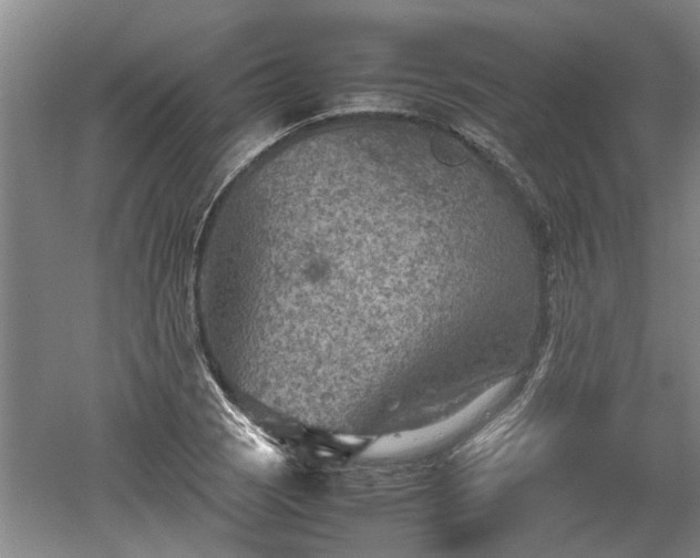 X0000060551121200511101530