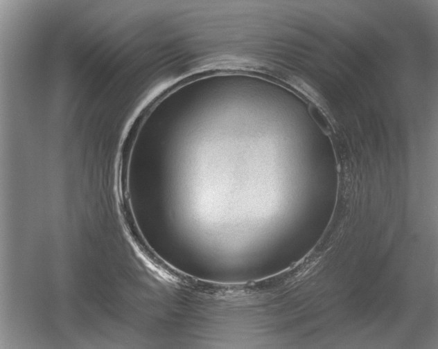 X0000060551128200511101530