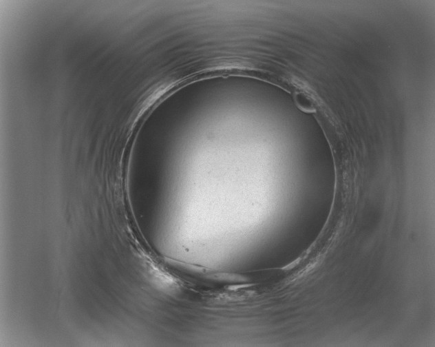 X0000060551129200511101530