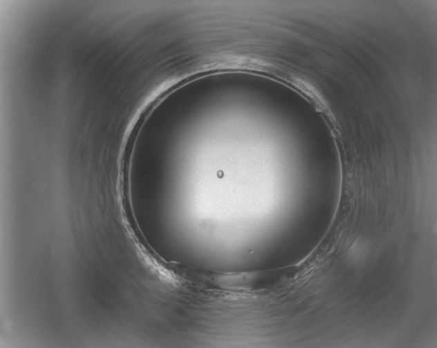 X0000060551136200511101530