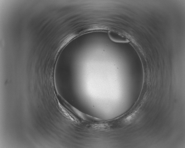 X0000060551137200511101530