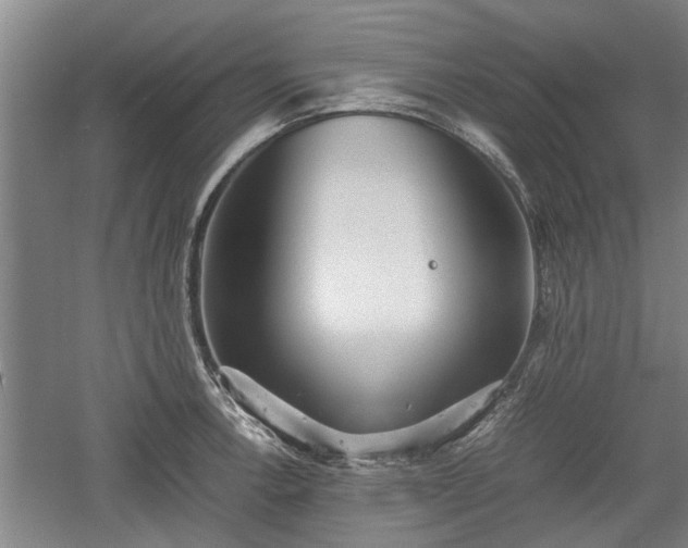 X0000060551138200511101530