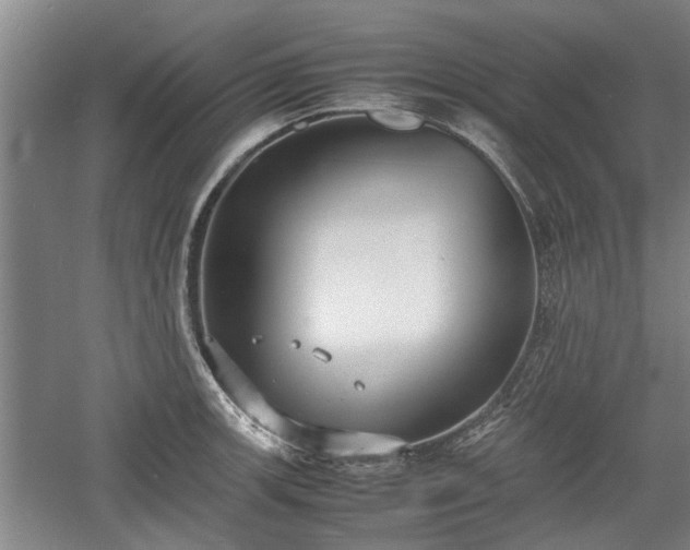 X0000060551139200511101530