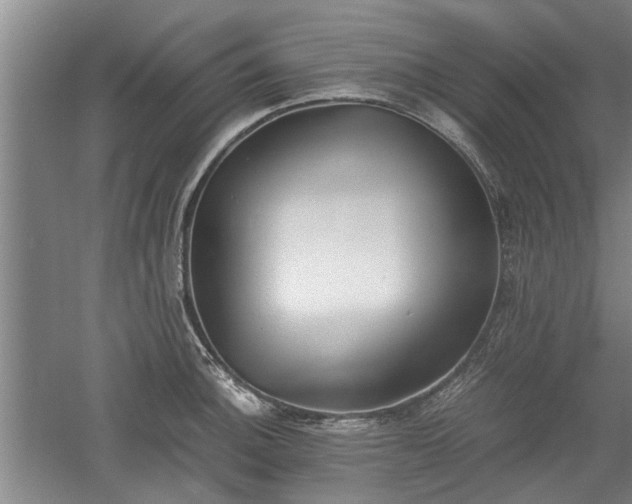 X0000060551140200511101530