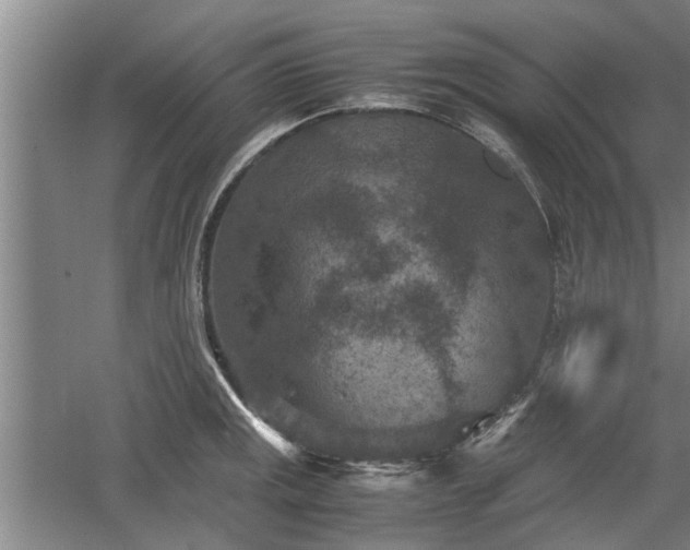 X0000060551141200511101530