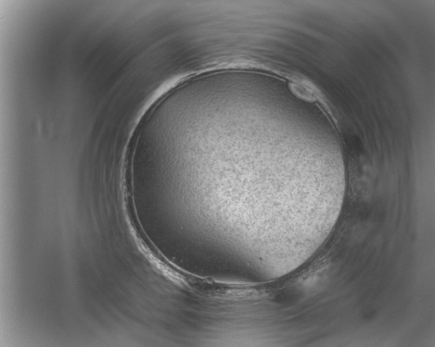 X0000060551142200511101530