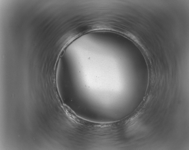 X0000060551145200511101530