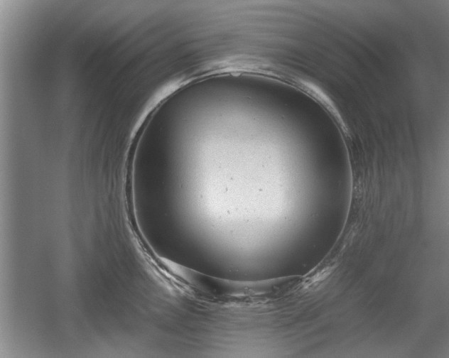 X0000060551146200511101530