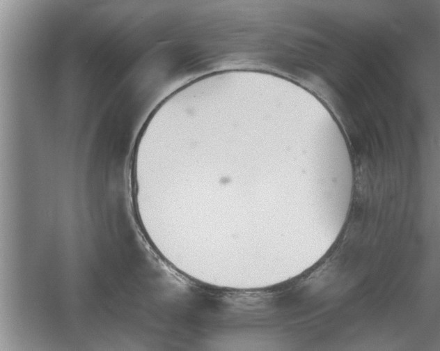 X0000060551150200511101531