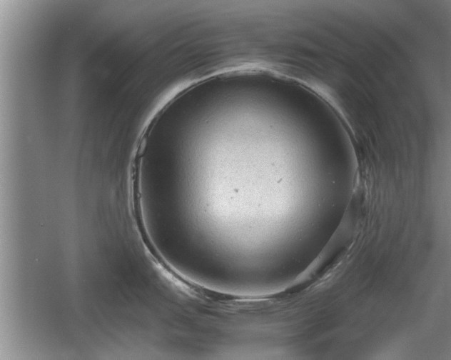 X0000060551151200511101531