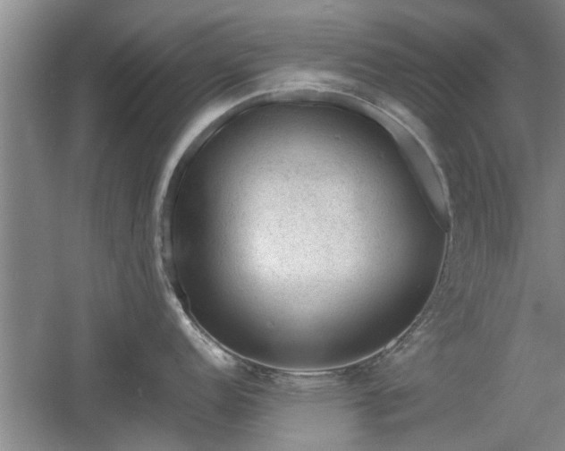 X0000060551152200511101531