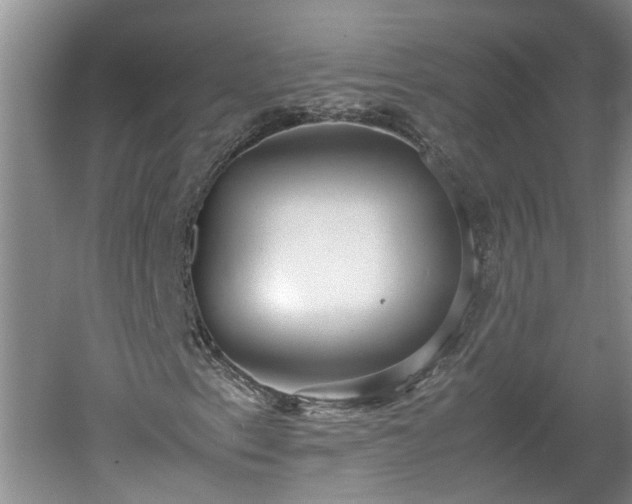 X0000060551153200511101530