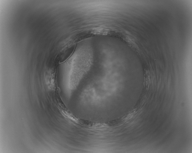 X0000060551154200511101530