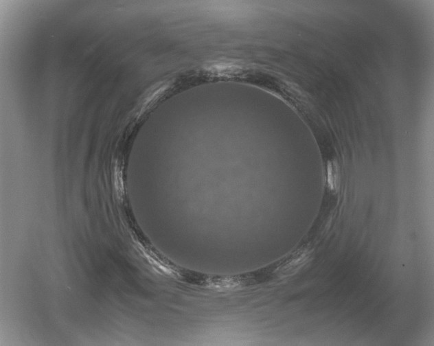 X0000060551155200511101530