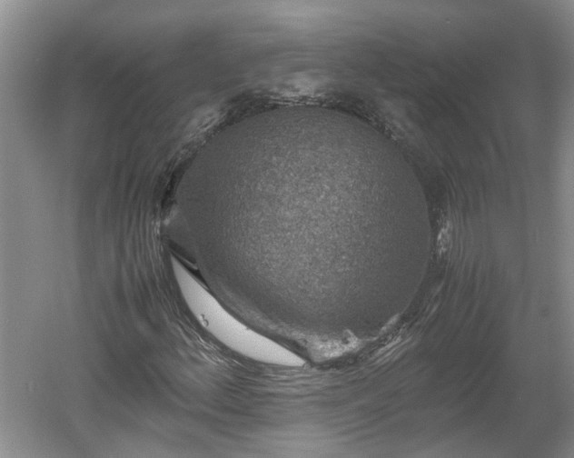 X0000060551156200511101530