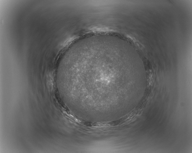 X0000060551157200511101530