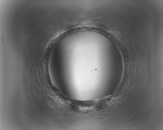 X0000060551159200511101530