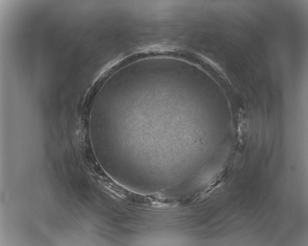 X0000060551160200511101530