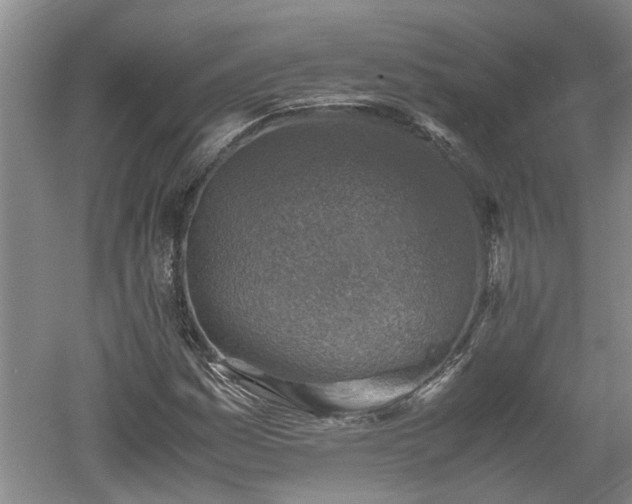 X0000060551161200511101530