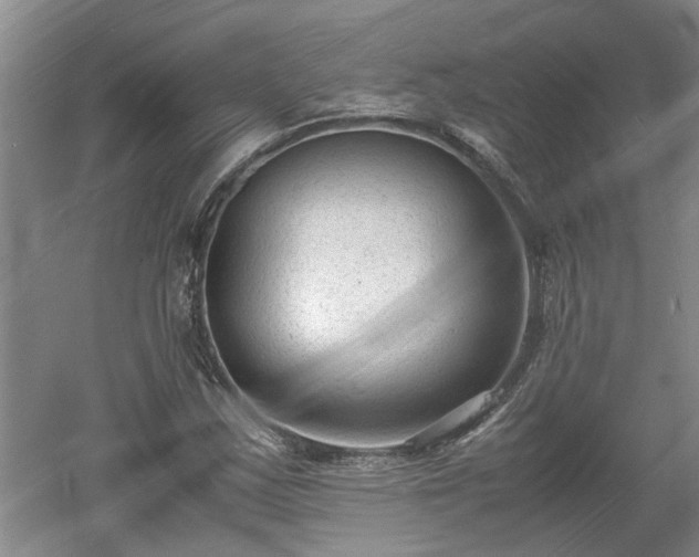 X0000060551163200511101530