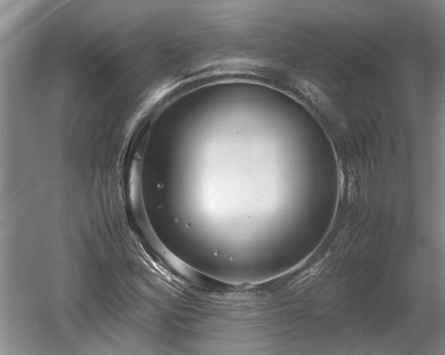 X0000060551164200511101530