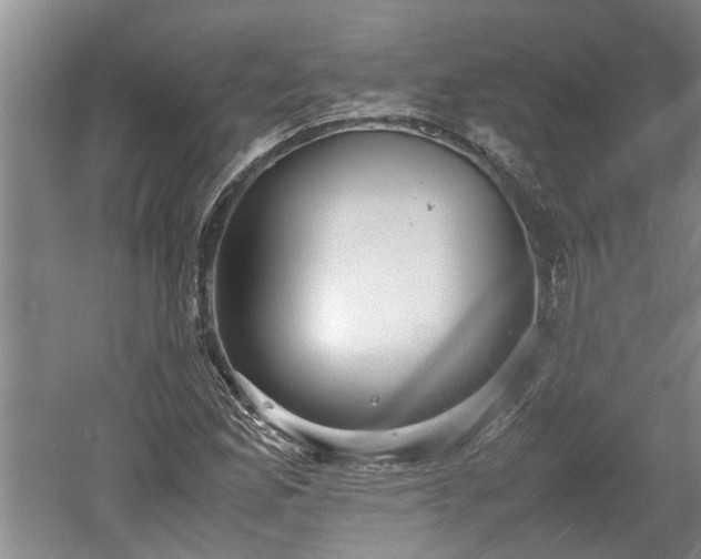 X0000060551165200511101530