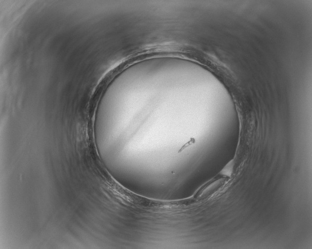 X0000060551166200511101530