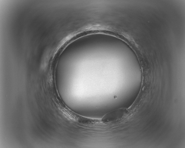 X0000060551167200511101530