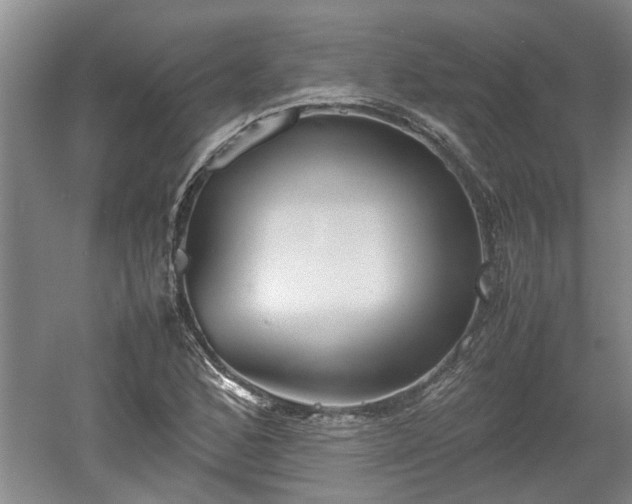 X0000060551168200511101529