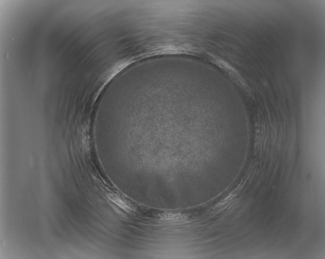 X0000060551170200511101529