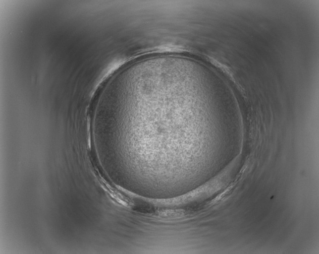 X0000060551171200511101529