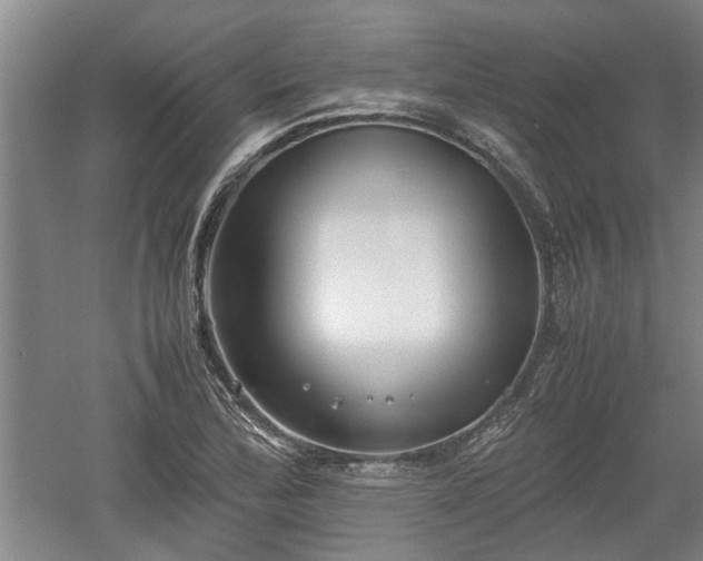 X0000060551172200511101529