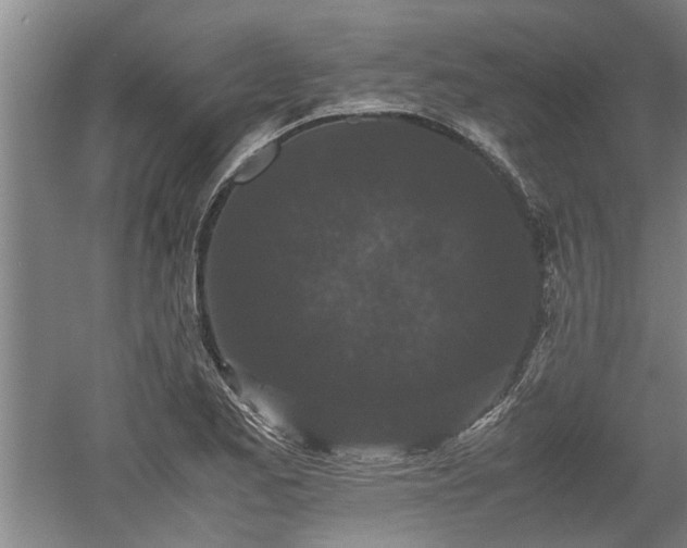 X0000060551173200511101529